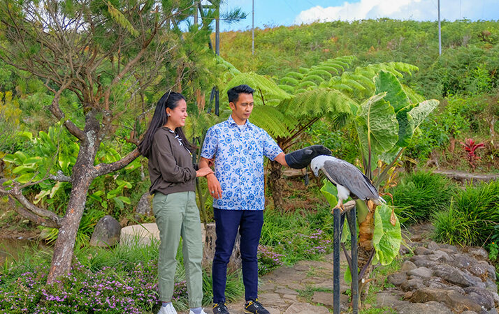 birdpark-malinohighlands